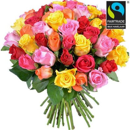 Mixed Rose Bouquet - Fresh, Vibrant Roses for Any Occasion