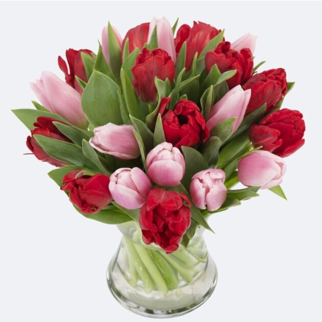 Vibrant Pink and Red Tulip Bouquet (Vase Ready) 1 A Vibrant Pink and Red Tulip Bouquet (Vase Ready) displayed in a clear glass container.