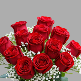 12 Red Roses and Gypsophila Bouquet Delivery