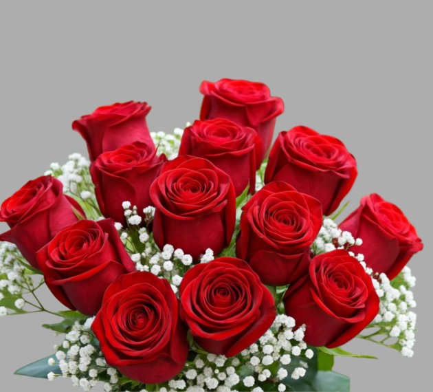 12 Red Roses and Gypsophila Bouquet Delivery 1 12 Red Roses and Gypsophila Bouquet Delivery