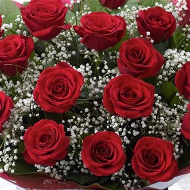24 Kiss Red Roses Bouquet 1 Luxury 18 kisses Red Roses bouquet next day delivery, Luxury 12 kisses Red Roses bouquet next day delivery, Luxury 24 kisses Red Roses bouquet next day delivery Save 10%