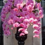 Purple orchid wedding arrangement