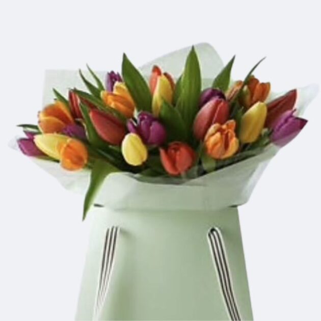 Tulip Bouquet Gift Bag featuring a vibrant multicoloured assortment, presented in an elegant carrying bag for gifting.
