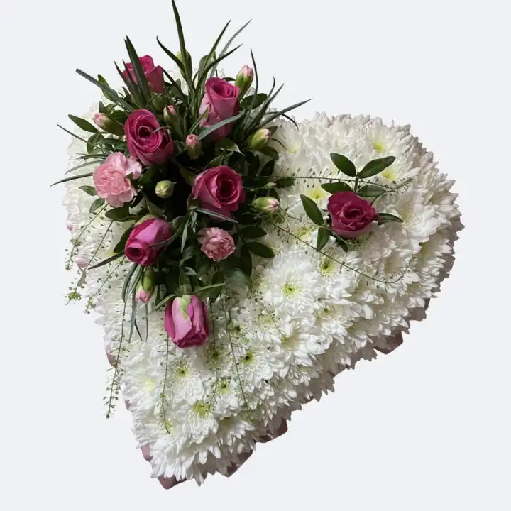 Pink Rose and White Chrysanthemum Heart Funeral Tribute 1 Beautifully handcrafted White Heart Funeral Flowers made with fresh white chrysanthemums and organic pink roses.