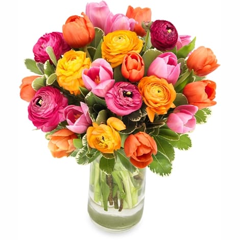 Tulips, Ranunculus Mixed Flower Bouquet 1 Ranunculus and Tulip Bouquet - Elegant and Fresh Floral Arrangement