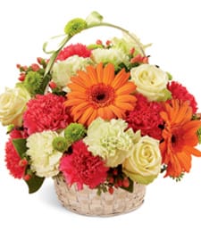 Gerbera Daisy Basket - Fresh Vibrant Floral Arrangement