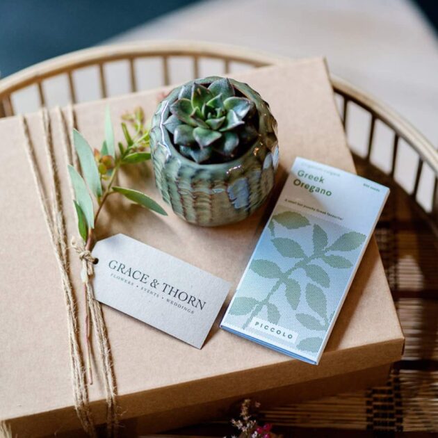 Grace and Thorn Gift Set with Succulent and Candle 1 Grace and Thorn Gift Set with Succulent and Candle