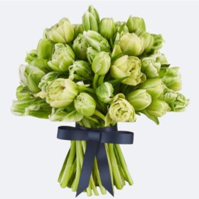 Luxury Lime Green Parrot Tulip Bouquet