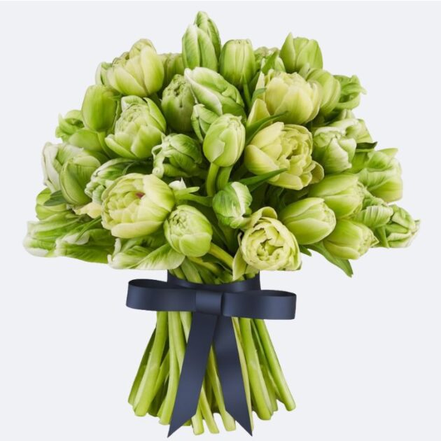 A Luxury Lime Green Parrot Tulip Bouquet with fresh organic blooms and a navy blue ribbon.