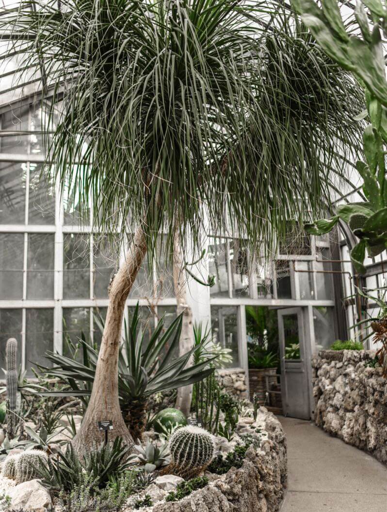 Residential Botanical Design