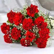 What flower is called the poor man's rose? 3 20 red carnations