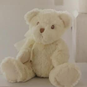 Cream Plush Teddy Bear Gift