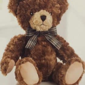 Brown Teddy Bear with Ribbon Gift