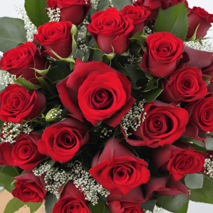 20 Red Roses Valentine's Day Gift Bouquet for Loved Ones