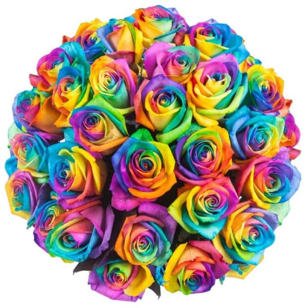 Order Special Rainbow Roses for Any Occasion 2 Order Special Rainbow Roses for Any Occasion - Image 2