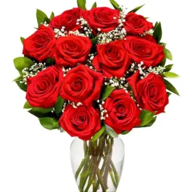Dozen Red Roses for Special Occasion