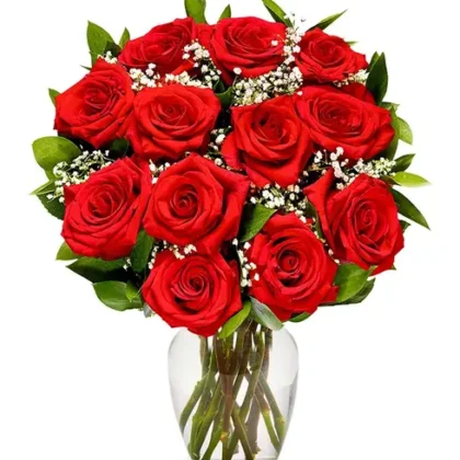 12 Red Rose International Women's Day Flowers – Celebrate with Stunning Red Roses