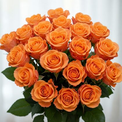 Celebrate Women's Day with 18 Vibrant Orange Roses