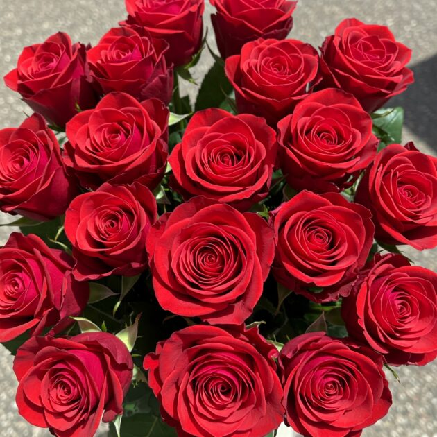 18 Red Rose International Women's Day Flowers – A Perfect Gift for Her
