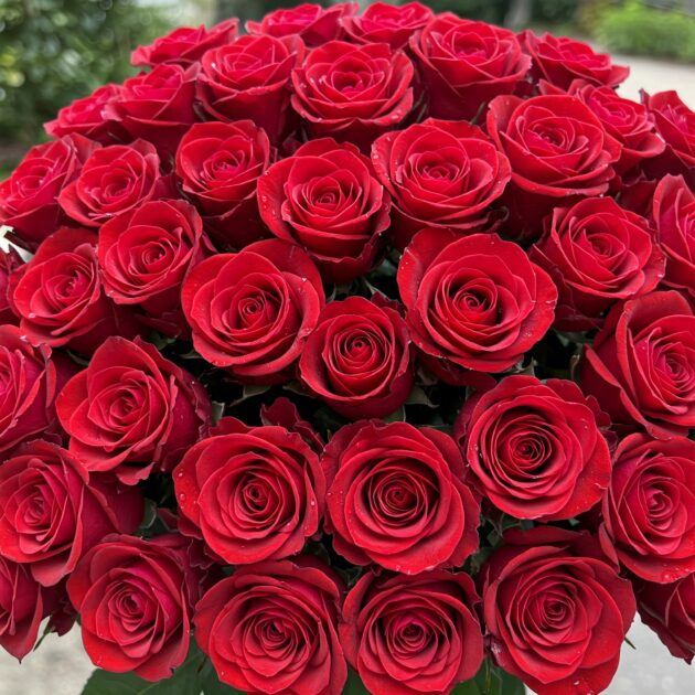 100 Red Roses For Valentine’s Day Gift - A Gorgeous Bouquet to Celebrate Love and Romance