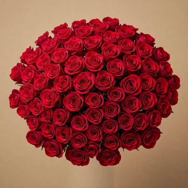 Large Red Rose Bouquet Delivery 3 Show your appreciation this International Women's Day with 50 Red Rose Flowers. Red roses represent admiration and love, making them a thoughtful and beautiful gift. Freshly arranged and available for next-day delivery across the UK, this bouquet will make the perfect statement. Enjoy added benefits like order tracking and delivery confirmation to ensure a smooth experience.