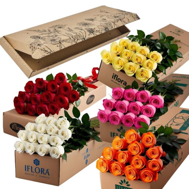 12 Stems Of Roses in a Gift Box 1 12 stems Pink, Orange, Red , White, Roses in a iflora branded cardboard box. The roses will be placed on top of the long cardboard. The cardboard will be 5 feet long and 2 feet wide.