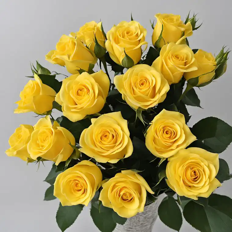 Radiant 12 Yellow Rose Bouquet 2 Celebrate International Women's Day with 12 Stunning Yellow Roses