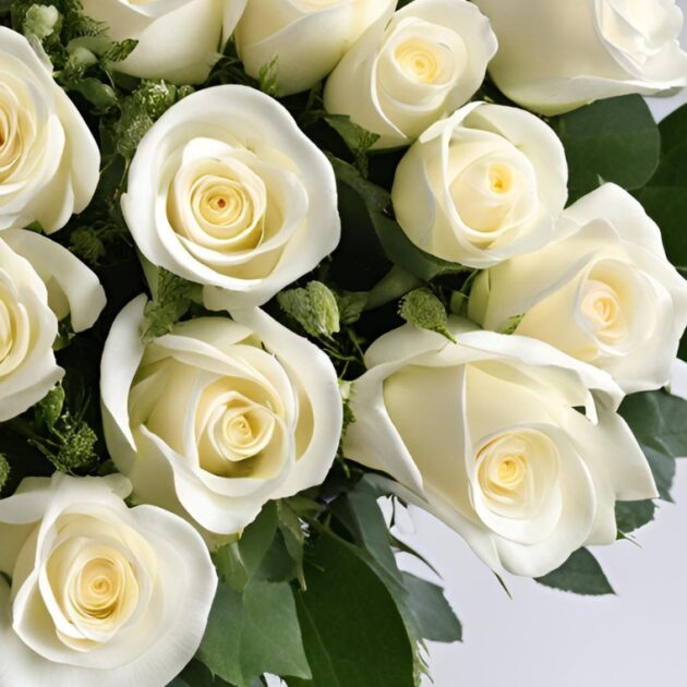 "12 White Rose Lady Day Flower Gift for Her - Elegant Bouquet"