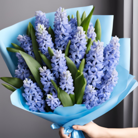 Blue Hyacinth flowers bouquet