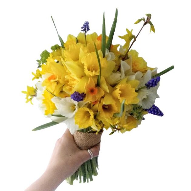 daffodil bouquet , daffodil bouquet flowers , daffodils bouquet , daffodil bouquet delivery uk ,
