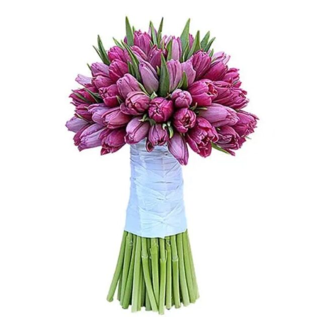 Tulips Flower Bouquet