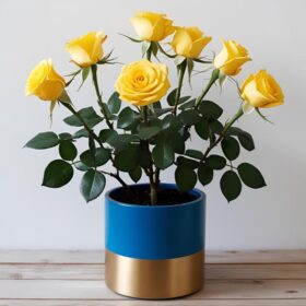 Yellow Miniature Rose Plant delivery