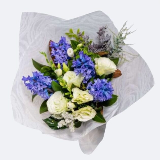 A vibrant hyacinth and rose bouquet featuring deep blue blossoms and crisp white petals wrapped in decorative paper.
