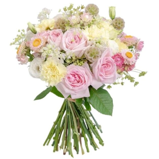 Pink rose bouquet delivery 1 pink and white rose bouquet delivery