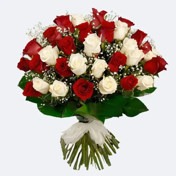 White and Red Rose Flower Bouquet 1 A fresh white and red rose flower bouquet with green leaves and baby's breath on a clean white background.