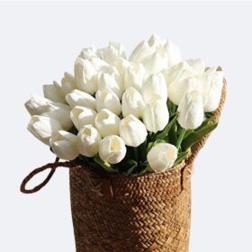 White tulips in a basket