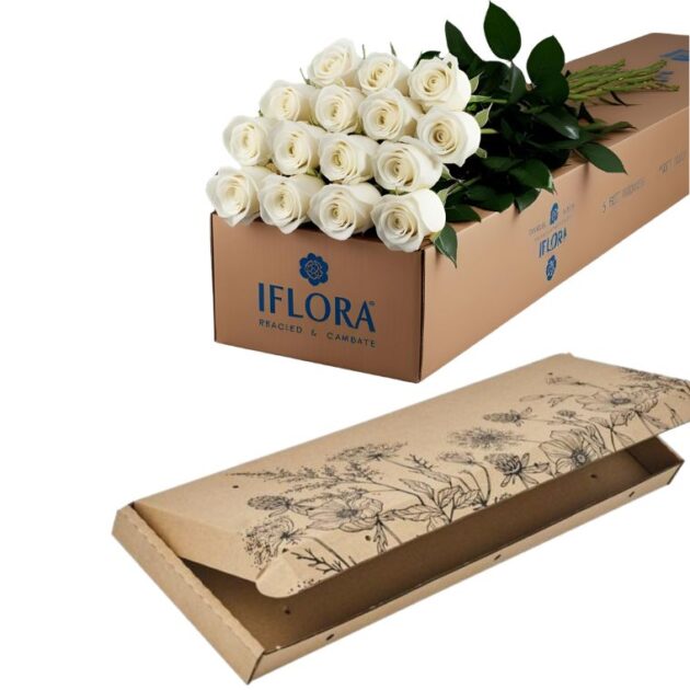 12 Stems Of Roses in a Gift Box 2 12 stems of white roses in a gift cardboard box