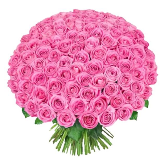 Fresh 100 Pink Roses Bouquet 1 Luxurious 100 pink roses bouquet on sale, perfect for a grand celebration.