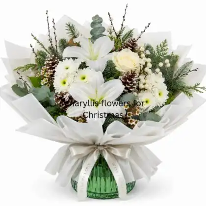 Amaryllis flowers for Christmas
