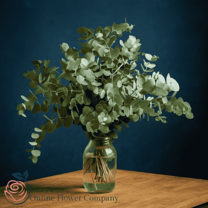 Fresh eucalyptus bunch arrangement with lush green leaves, perfect for Christmas décor or festive centerpieces