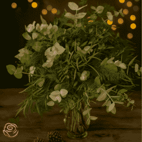 Cut foliage vases for Christmas decorations