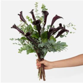 Dark Purple Calla Lily Bouquet