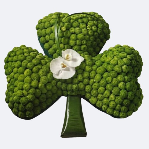 Shamrock Funeral Tribute – A striking green floral arrangement perfect for a heartfelt sympathy display.