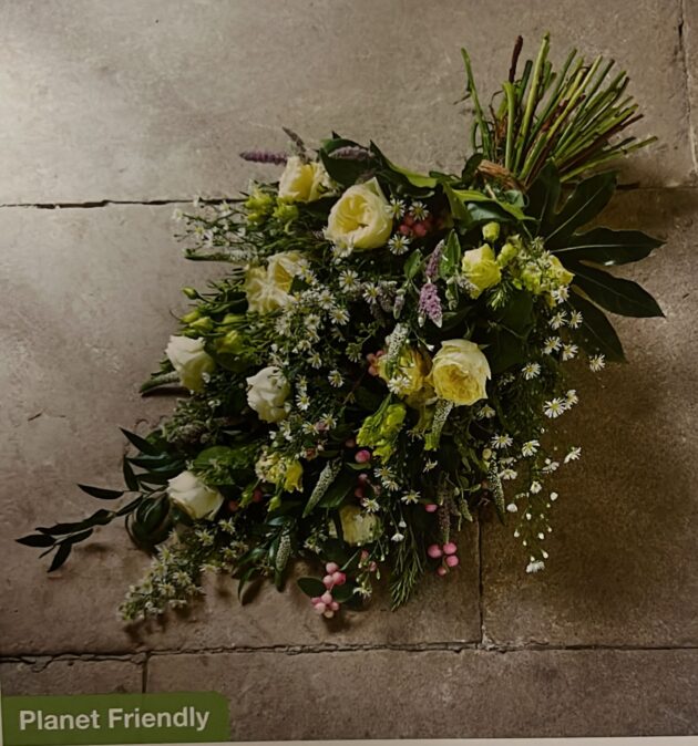 Planet Friendly 1 Planet Friendly