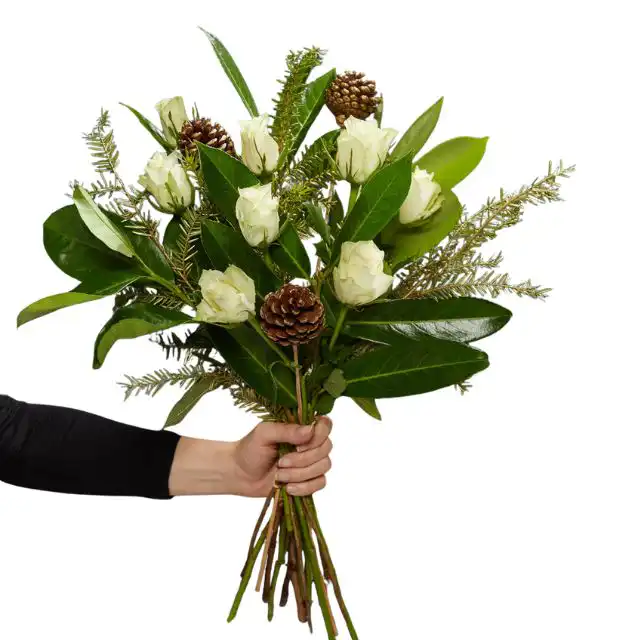 Festive flower arrangements 1 A hand holds an elegant white rose Christmas bouquet arranged with glossy dark green leaves and natural pine cones. Festive flower arrangements for next day delivery