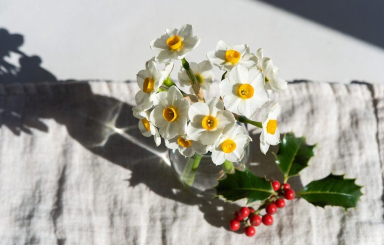 December Birth Flower Guide to Holly and Narcissus 1 White narcissus blooms in a glass vase next to a sprig of red holly, representing the December birth flower.
